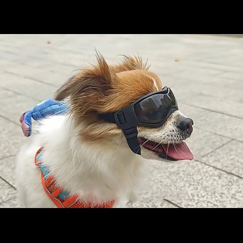 Silicon+PC+Nylon Pet Goggles A - Windsor Knot Tie recension och pris