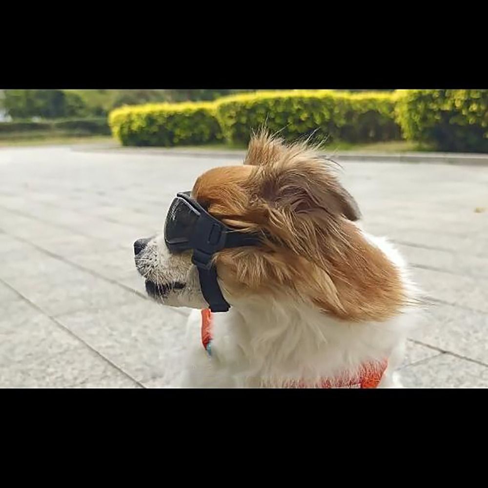 Silicon+PC+Nylon Pet Goggles A - Windsor Knot Tie recension och pris